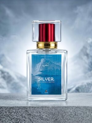silver mountain water